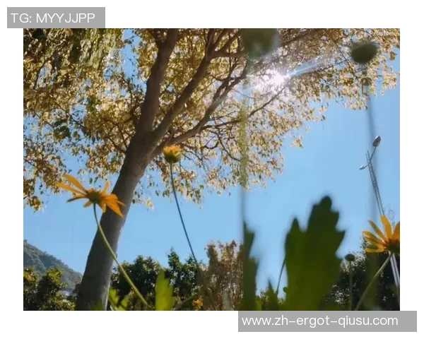 沐浴着冬日暖阳，咱们赢得成功